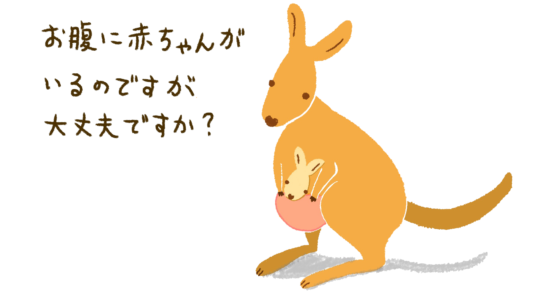 カンガルーがお腹に赤ちゃんがいても良いのか尋ねている